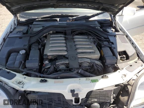 1995 Mercedes-Benz S with VIN WDBGA76E2SA208254, listed as a Copart auction lot 51515445 with 176,840 mi miles and Clean Title. Bid and sale history available at DreamBid. Image 11.