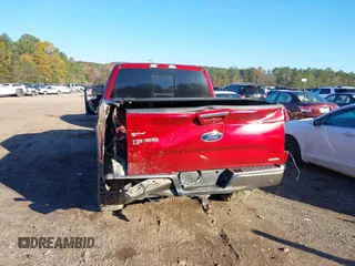 2016 Ford F-150 XLT with VIN 1FTEW1EF9GFB09751, listed as a IAAI auction lot 40970801 with 160,900 mi miles. Bid and sale history available at carsss.com. Image 16.
