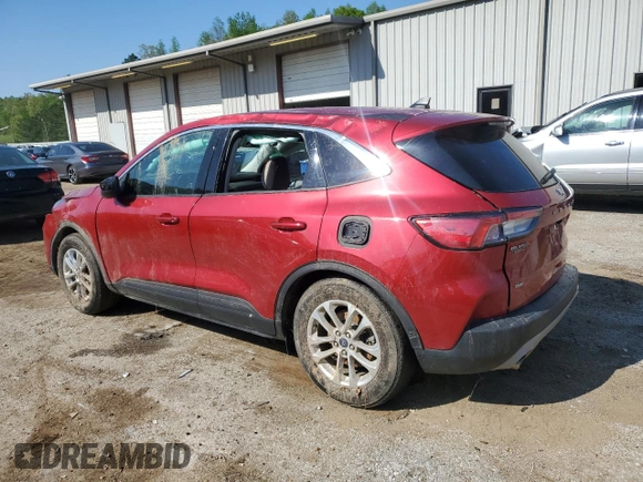 2021 Ford Escape SE with VIN 1FMCU0G65MUA92051, listed as a Copart auction lot 52252605 with 52,667 mi miles and Salvage title. Bid and sale history available at DreamBid. Image 2.
