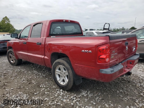 2010 Dodge Dakota SXT with VIN 1D7CW3GP8AS230686, listed as a Copart auction lot 65687704 with 110,017 mi miles and Salvage Title. Bid and sale history available at carsss.com. Image 2.