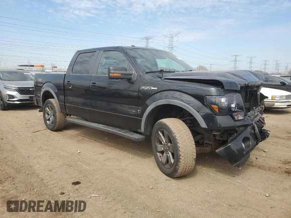 2011 Ford F-150 XL with VIN 1FTFW1EF5BKD29344, listed as a Copart auction lot 50380205 with 117,289 mi miles and Salvage Title. Bid and sale history available at DreamBid. Image 4.