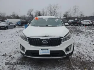 2016 Kia Sorento EX with VIN 5XYPHDA16GG037080, listed as a Copart auction lot 46309455 with 0 mi miles and Salvage Title. Bid and sale history available at carsss.com. Image 5.