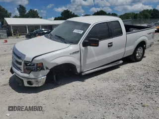 2013 Ford F-150 XL with VIN 1FTFX1EF4DFB02199, listed as a Copart auction lot 61959245 with 165,390 mi miles and Salvage title. Bid and sale history available at DreamBid. Image 1.
