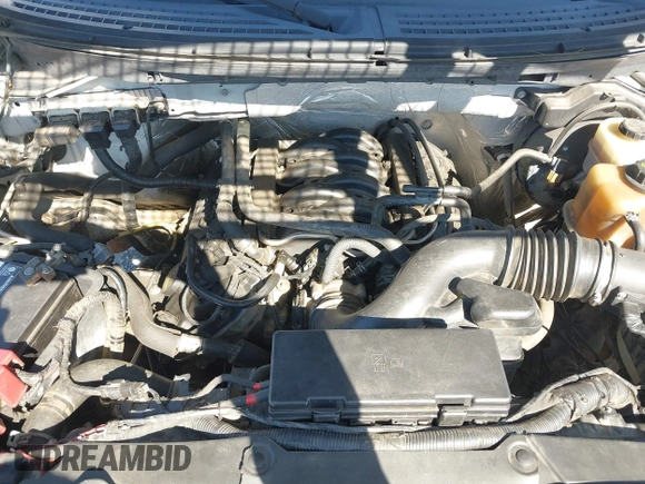 2012 Ford F-150 XL with VIN 1FTFW1EFXCKD49459, listed as a IAAI auction lot 41600963 with 260,704 mi miles. Bid and sale history available at carsss.com. Image 10.