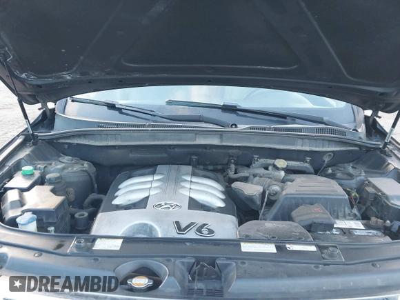 2007 Hyundai Veracruz GLS with VIN KM8NU73C27U007863, listed as a IAAI auction lot 41356164 with 264,504 mi miles and . Bid and sale history available at DreamBid. Image 10.