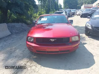2006 Ford Mustang Standard with VIN 1ZVFT84N865222011, listed as a IAAI auction lot 42523400 with 234,756 mi miles and . Bid and sale history available at DreamBid. Image 12.