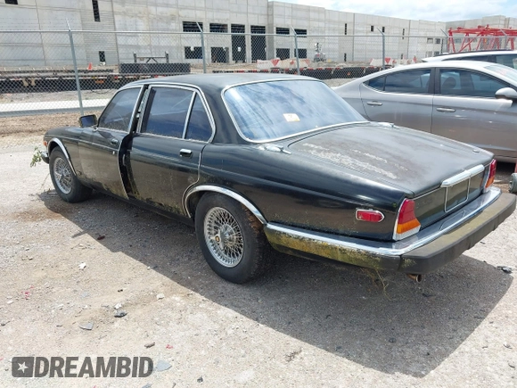 1982 Jaguar XJ with VIN SAJAV1248CC341050, listed as a IAAI auction lot 42653594 with Not provided miles and . Bid and sale history available at DreamBid. Image 3.