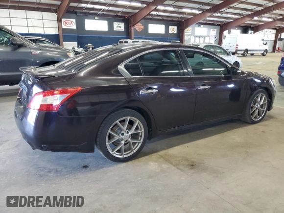 2010 Nissan Maxima SV with VIN 1N4AA5AP7AC846576, listed as a Copart auction lot 56277125 with 219,851 mi miles and Clean title. Bid and sale history available at DreamBid. Image 3.