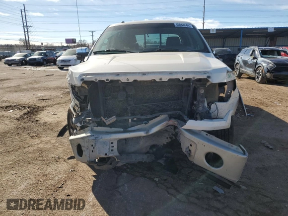 2009 Ford F-150 XL with VIN 1FTPW14V29KA73056, listed as a Copart auction lot 45048505 with 257,907 mi miles and Salvage Title. Bid and sale history available at carsss.com. Image 5.