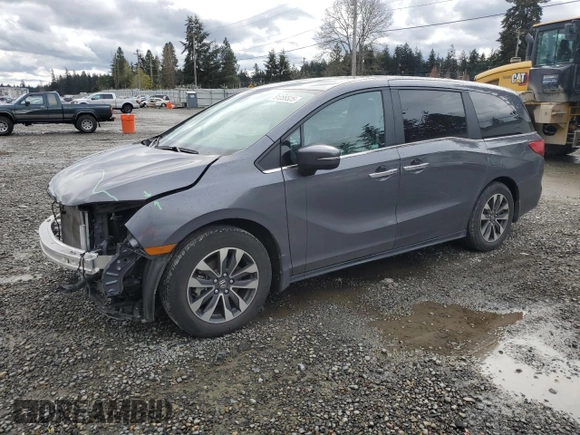 2024 Honda Odyssey EX-L with VIN 5FNRL6H66RB007026, listed as a Copart auction lot 51285525 with 22,382 mi miles and Salvage Title. Bid and sale history available at DreamBid. Image 1.