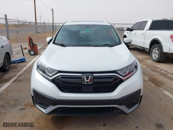 2022 Honda CR-V EX with VIN 7FARW2H50NE052730, listed as a IAAI auction lot 40717699 with 19,514 mi miles. Bid and sale history available at carsss.com. Image 12.