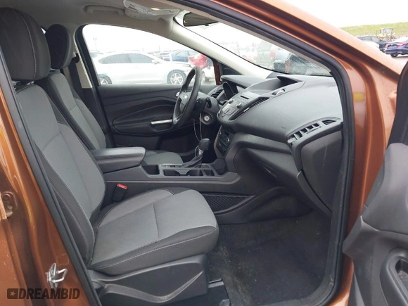 2017 Ford Escape SE with VIN 1FMCU0GD2HUD20589, listed as a IAAI auction lot 41587819 with 119,623 mi miles. Bid and sale history available at carsss.com. Image 5.