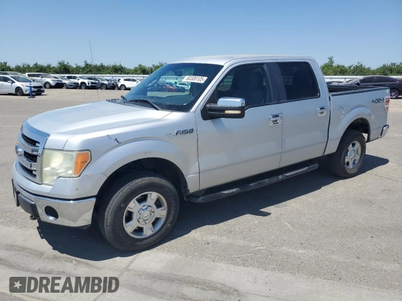 2013 Ford F-150 XL with VIN 1FTFW1EF4DKE06241, listed as a Copart auction lot 60306105 with 171,658 mi miles and Salvage title. Bid and sale history available at DreamBid. Image 1.