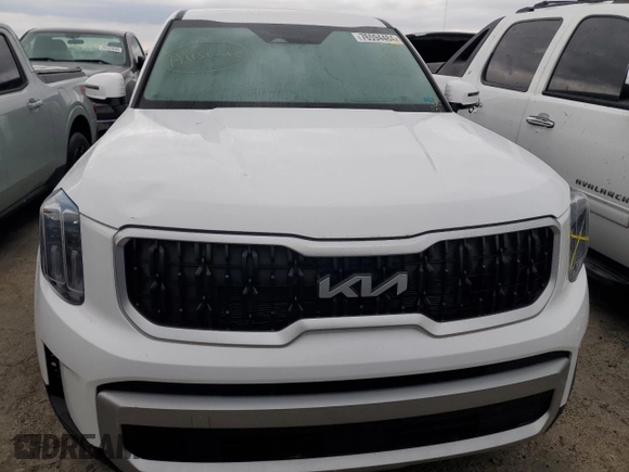 2023 Kia Telluride LX with VIN 5XYP24GC9PG329168, listed as a Copart auction lot 76594484 with Not provided miles and Salvage title. Bid and sale history available at DreamBid. Image 5.