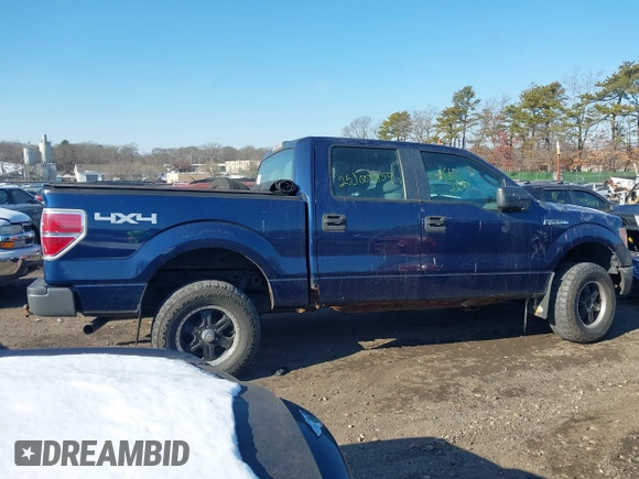 2011 Ford F-150 XL with VIN 1FTFW1EF9BFD05864, listed as a IAAI auction lot 41415000 with 999,999 mi miles. Bid and sale history available at carsss.com. Image 12.