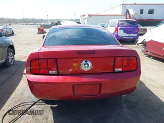 2005 Ford Mustang Deluxe with VIN 1ZVFT80NX55119984, listed as a IAAI auction lot 41921403 with 243,278 mi miles and . Bid and sale history available at DreamBid. Image 16.