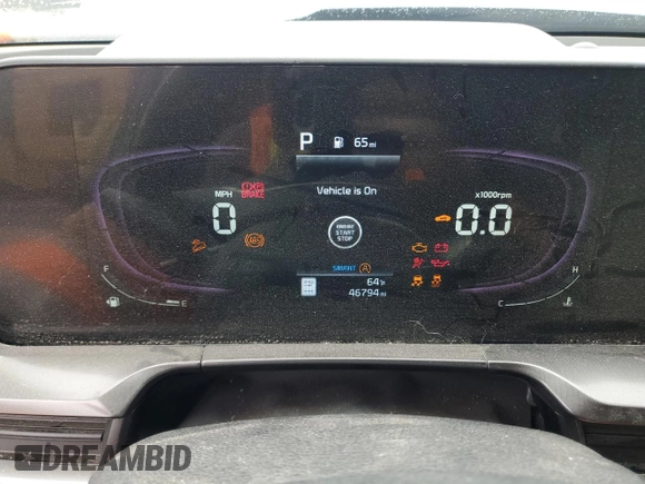 2024 Kia Telluride S with VIN 5XYP6DGC4RG413325, listed as a Copart auction lot 59682595 with 46,794 mi miles and Non repairable. Bid and sale history available at DreamBid. Image 9.