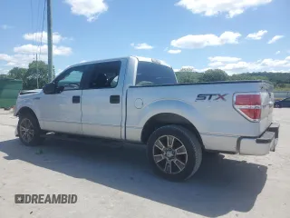 2014 Ford F-150 XL with VIN 1FTFW1CFXEKG42106, listed as a Copart auction lot 58229675 with 178,924 mi miles and Salvage title. Bid and sale history available at DreamBid. Image 2.