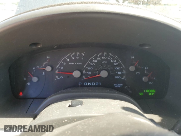 2004 Ford Expedition Special Service with VIN 1FMPU15L14LB12706, listed as a Copart auction lot 49137855 with 118,306 mi miles and Salvage Title. Bid and sale history available at carsss.com. Image 9.