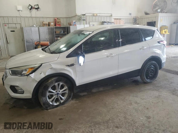 2017 Ford Escape SE with VIN 1FMCU0GD5HUD28394, listed as a Copart auction lot 52079995 with 120,223 mi miles and Salvage Title. Bid and sale history available at DreamBid. Image 1.