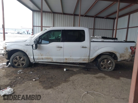 2019 Ford F-150 XL with VIN 1FTEW1CP7KKC75312, listed as a IAAI auction lot 41271422 with 135,228 mi miles and . Bid and sale history available at carsss.com. Image 14.