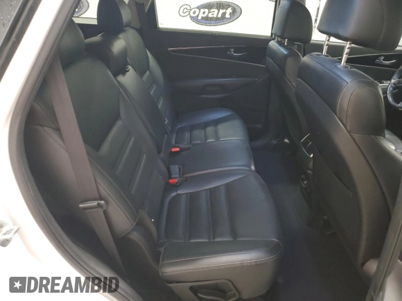 2017 Kia Sorento EX V6 with VIN 5XYPH4A58HG248236, listed as a Copart auction lot 48732165 with 146,353 mi miles and Clean Title. Bid and sale history available at carsss.com. Image 10.