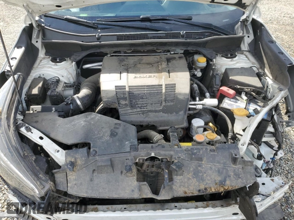 2019 Subaru Forester Limited with VIN JF2SKAUC4KH589976, listed as a Copart auction lot 44713045 with 97,022 mi miles and Salvage Title. Bid and sale history available at carsss.com. Image 13.