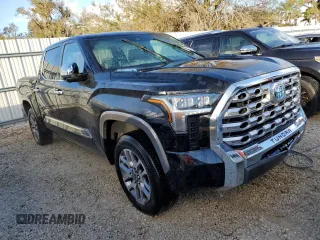 2024 Toyota Tundra 1794 Edition with VIN 5TFMC5DB8RX054569, listed as a Copart auction lot 79186024 with Not provided miles and Non repairable. Bid and sale history available at DreamBid. Image 4.