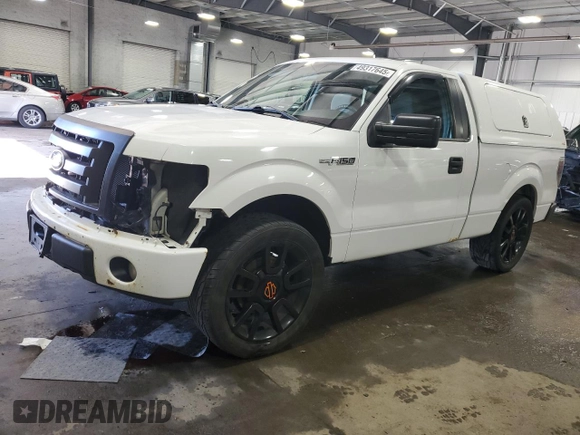 2012 Ford F-150 XL with VIN 1FTMF1CF6CFA60355, listed as a Copart auction lot 49317645 with 248,008 mi miles and Salvage Title. Bid and sale history available at carsss.com. Image 1.