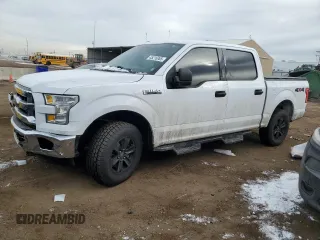 2017 Ford F-150 XL with VIN 1FTEW1E89HKC46487, listed as a Copart auction lot 45216065 with 153,488 mi miles and Salvage Title. Bid and sale history available at carsss.com. Image 1.