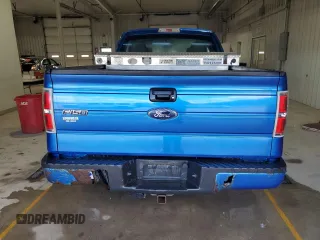 2010 Ford F-150 XL with VIN 1FTEX1EW8AFB96532, listed as a Copart auction lot 53133575 with 203,518 mi miles and Salvage Title. Bid and sale history available at carsss.com. Image 6.