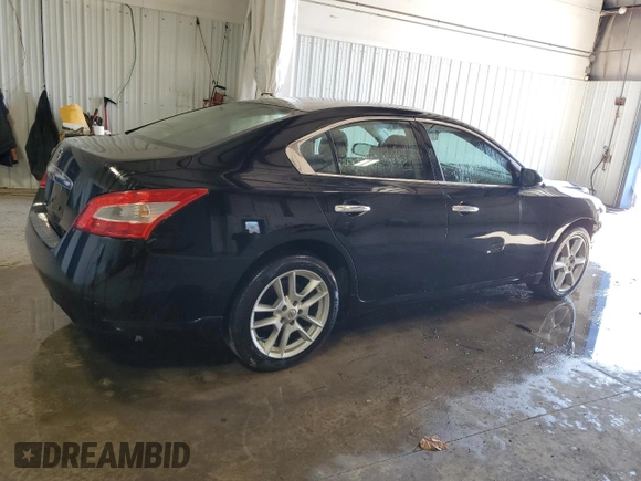 2009 Nissan Maxima SV with VIN 1N4AA51E19C836667, listed as a Copart auction lot 47928705 with 131,022 mi miles and Salvage Title. Bid and sale history available at DreamBid. Image 3.