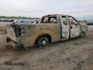 2010 Ford F-150 XL with VIN 1FTFX1CV0AFA36403, listed as a Copart auction lot 81621624 with 0 mi miles and Non Repairable. Bid and sale history available at carsss.com. Image 3.