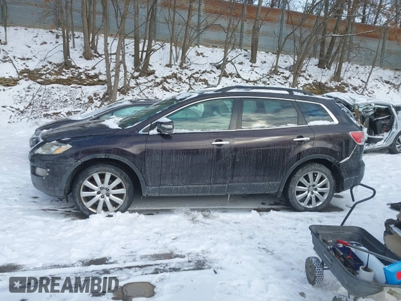 2009 Mazda CX-9 Touring with VIN JM3TB38V790165623, listed as a IAAI auction lot 41258693 with Not Provided miles. Bid and sale history available at carsss.com. Image 14.