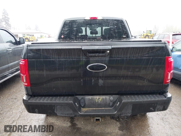2015 Ford F-150 XLT with VIN 1FTEW1EG9FFB36102, listed as a IAAI auction lot 42008173 with 379,108 mi miles. Bid and sale history available at carsss.com. Image 17.
