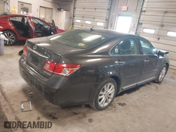 2010 Lexus ES 330 with VIN JTHBK1EG8A2382412, listed as a IAAI auction lot 41329184 with 144,568 mi miles and . Bid and sale history available at DreamBid. Image 4.