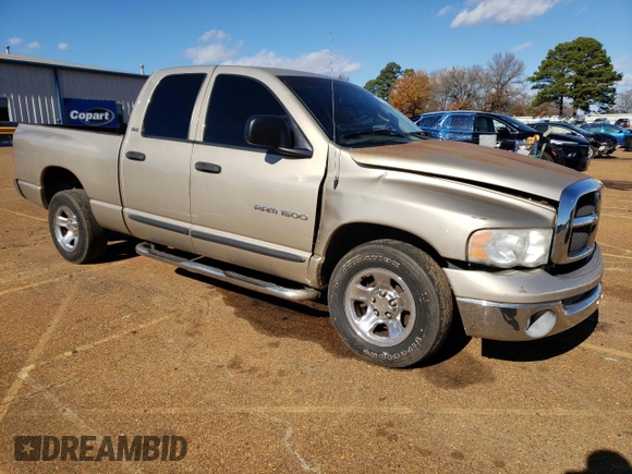 2002 Dodge 1500 z VIN 1D7HA18N02S703732, wystawiony jako Copart lot #89305895 z przebiegiem 189 396 mil mil oraz Szkoda całkowita • Salvage title. Historia ofert i sprzedaży dostępna na DreamBid. Obrazek 4.