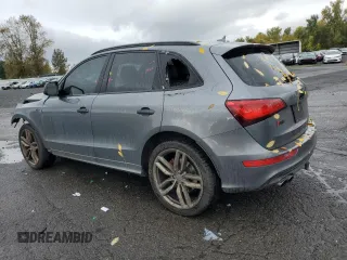 2017 Audi SQ5 Premium Plus with VIN WA1CCAFP2HA045617, listed as a Copart auction lot 77871754 with 109,057 mi miles and Salvage Title. Bid and sale history available at carsss.com. Image 2.