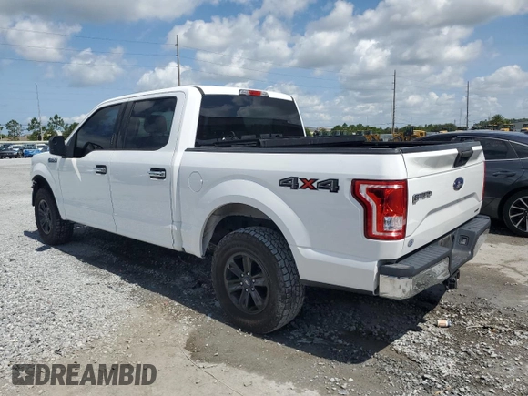 2016 Ford F-150 XLT with VIN 1FTEW1EFXGKE48610, listed as a Copart auction lot 59703975 with 174,044 mi miles and Salvage title. Bid and sale history available at DreamBid. Image 2.