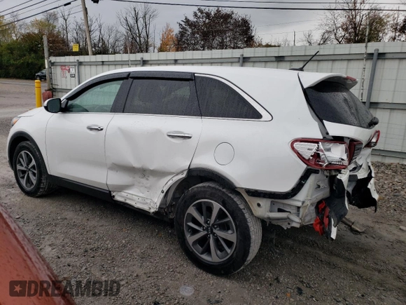 2020 Kia Sorento LX with VIN 5XYPG4A58LG664766, listed as a Copart auction lot 78896194 with 82,028 mi miles and Salvage Title. Bid and sale history available at DreamBid. Image 2.