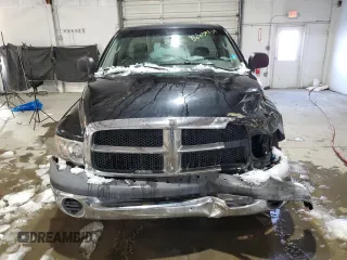 2002 Dodge 1500 with VIN 1D7HA16K52J247726, listed as a Copart auction lot 86604754 with Not Provided miles and Salvage Title. Bid and sale history available at DreamBid. Image 5.
