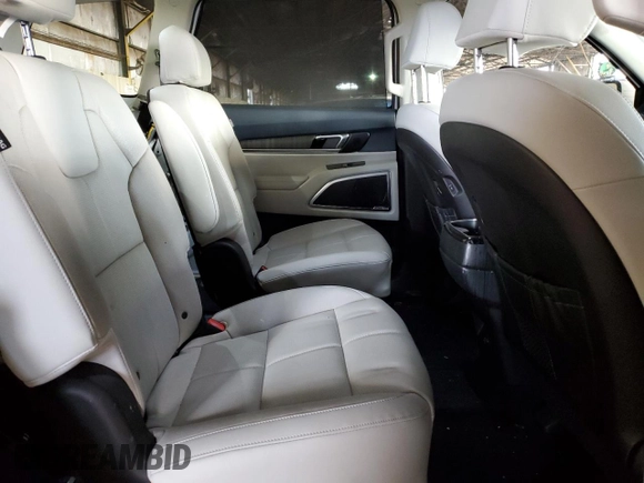 2023 Kia Telluride SX X-Line with VIN 5XYP5DGC5PG361512, listed as a Copart auction lot 78152114 with 28,693 mi miles and Salvage title. Bid and sale history available at DreamBid. Image 11.