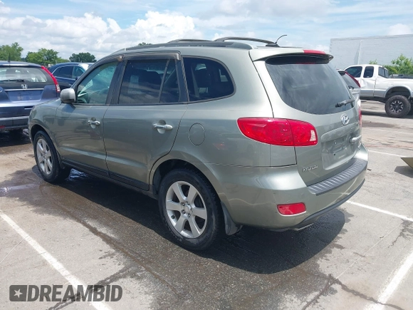 2007 Hyundai Santa Fe SE with VIN 5NMSH13E77H128941, listed as a IAAI auction lot 42641419 with 209,159 mi miles and . Bid and sale history available at DreamBid. Image 3.