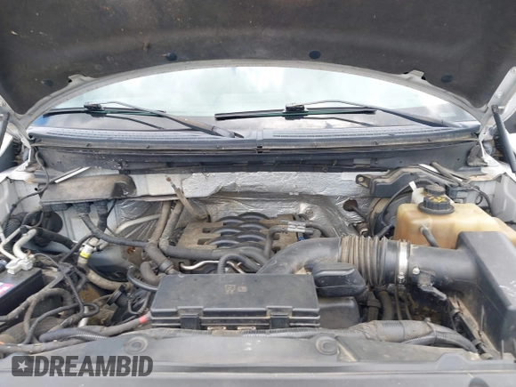 2011 Ford F-150 XL с VIN 1FTFW1EF0BKD57276, выставлен на аукционе IAAI как лот 42511868 с пробегом 246 957 миль миль и . История ставок и продаж доступна на DreamBid. Изображение 10.