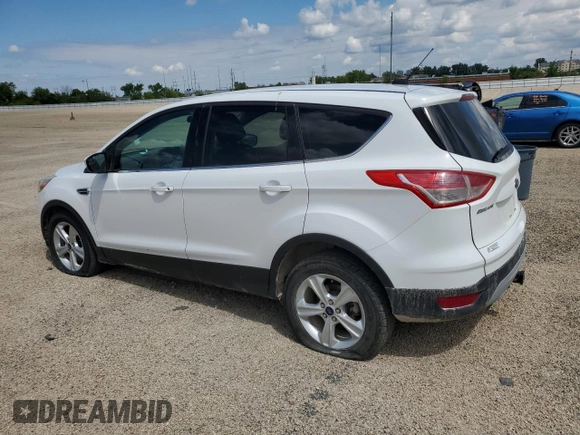 2013 Ford Escape SE with VIN 1FMCU9G96DUD66971, listed as a Copart auction lot 58507505 with 135,866 mi miles and Salvage title. Bid and sale history available at DreamBid. Image 2.