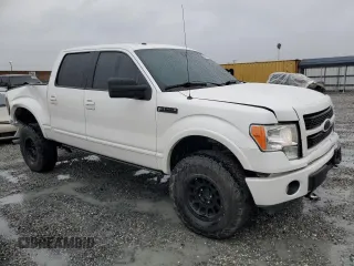 2012 Ford F-150 XL with VIN 1FTFW1ET1CFC09699, listed as a Copart auction lot 48253405 with 189,050 mi miles and Salvage Title. Bid and sale history available at carsss.com. Image 4.