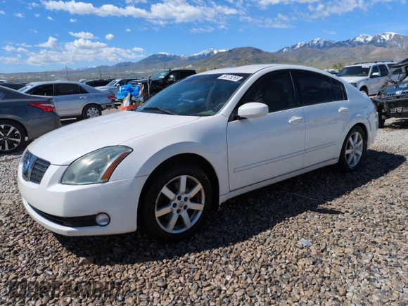 2004 Nissan Maxima SE with VIN 1N4BA41E24C883438, listed as a Copart auction lot 56175265 with 122,747 mi miles and Salvage title. Bid and sale history available at DreamBid. Image 1.