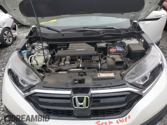 2020 Honda CR-V EX with VIN 7FARW1H59LE004988, listed as a Copart auction lot 59726565 with 38,136 mi miles and Salvage title. Bid and sale history available at DreamBid. Image 12.