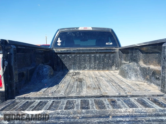 2009 Ford F-150 XL with VIN 1FTRF12W09KB75878, listed as a IAAI auction lot 41677669 with 262,105 mi miles and . Bid and sale history available at DreamBid. Image 8.