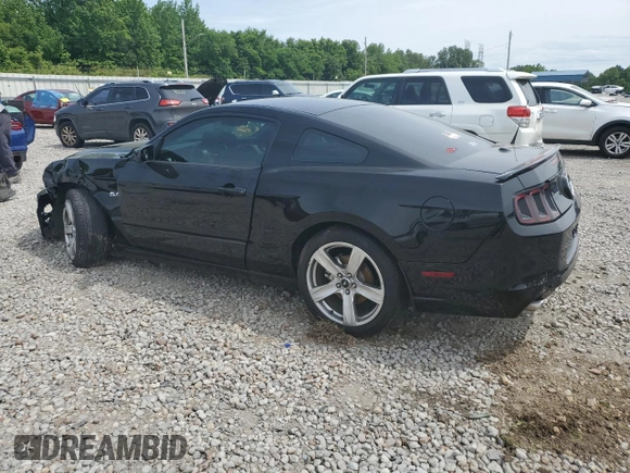 2014 Ford Mustang GT with VIN 1ZVBP8CF3E5308631, listed as a Copart auction lot 56112365 with 54,165 mi miles and Salvage title. Bid and sale history available at DreamBid. Image 2.